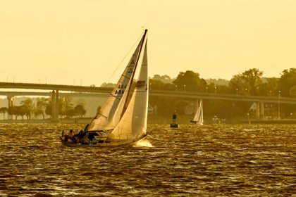 Picture of SEVERN RIVER SAILING I