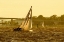 Picture of SEVERN RIVER SAILING I