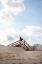 Picture of SANDY STAIRS