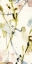 Picture of FLOWER DRIP TRIPTYCH II