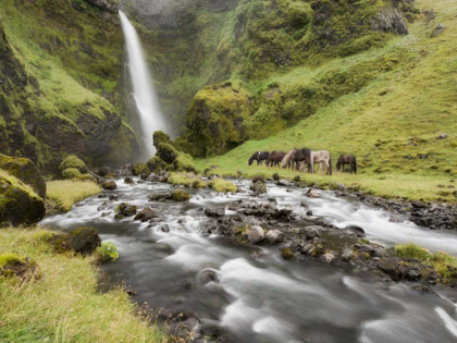 Picture of WATERFALL HORSES I