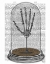 Picture of SKELETON HAND IN BELL JAR