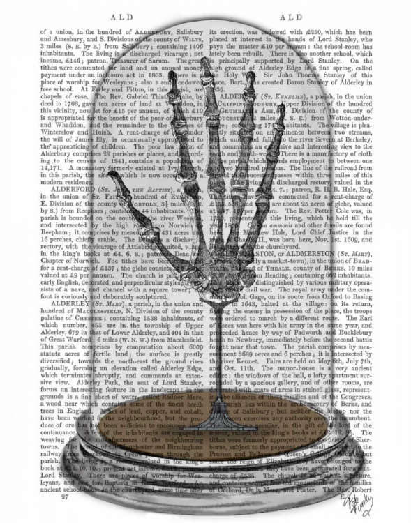 Picture of SKELETON HAND IN BELL JAR