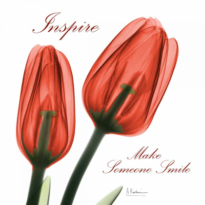 Picture of INSPIRE TULIPS