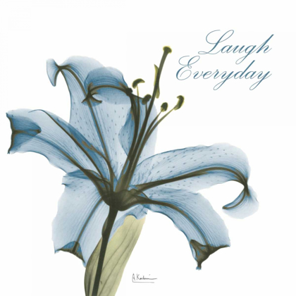 Picture of LAUGH EVERDAY LILY A36