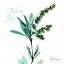 Picture of CHOOSE JOY LILY OF THE VALLEY H12