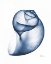 Picture of INDIGO WATER SNAIL