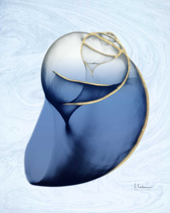 Picture of MARBLE INDIGO SNAIL 2