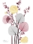 Picture of BLUSH FUSION 2