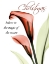Picture of CHRISTMAS CALLA LILY