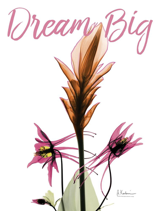 Picture of DREAM BIG FLORAL