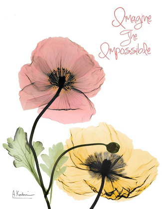 Picture of IMPOSSIBLE  POPPIES