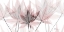 Picture of PLENTIFUL BOUQUET