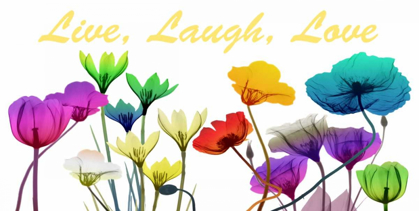 Picture of LIVE LAUGH LOVE
