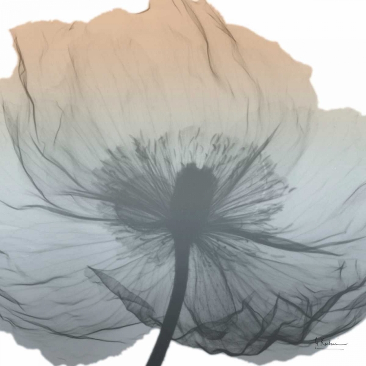 Picture of POPPY EARTHY BEAUTY