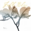 Picture of BLESSED ORCHID