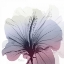 Picture of TASTY GRAPE HIBISCUS