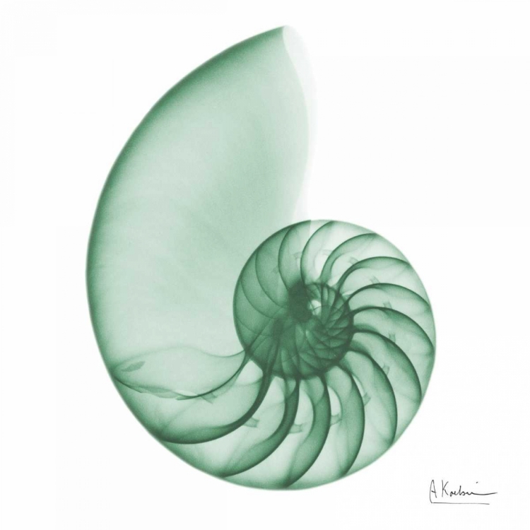 Picture of JADE WATER SNAIL 2