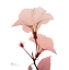 Picture of GOLDEN BLUSH 1