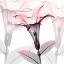 Picture of FLUSHED PLEASURES