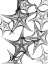 Picture of STARFISH