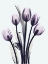 Picture of ESSENTIALLY TULIPS
