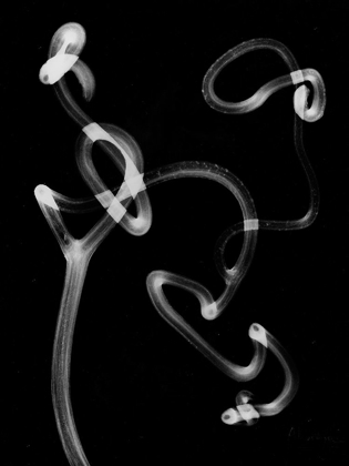 Picture of TENDRIL