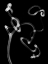 Picture of TENDRIL
