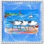 Picture of BEACH-FRONT-SHORE BIRDS