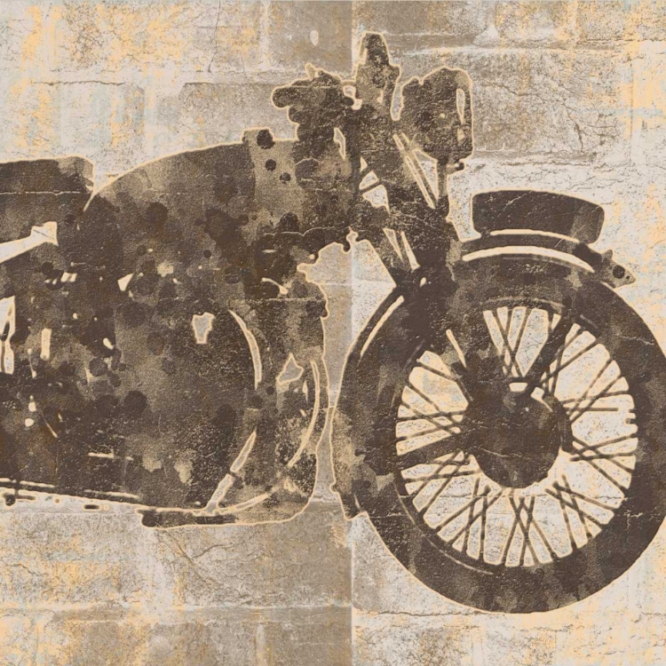 Picture of BIKE 15