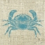 Picture of CRAB LINEN