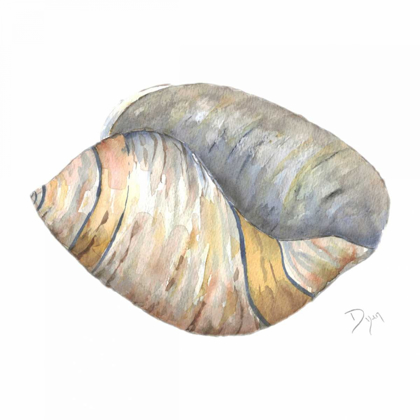 Picture of SEA SHELL NEUTRAL 1