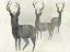 Picture of DEER TRIO