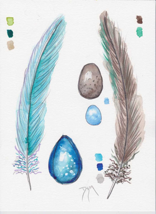 Picture of FEATHER AND EGG STUDY 2