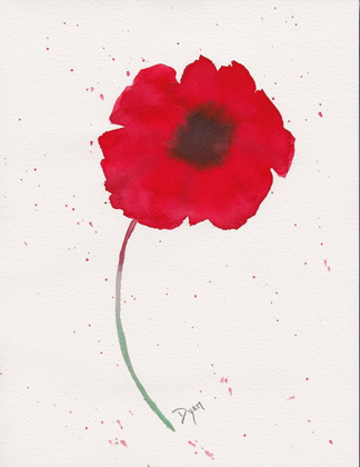 Picture of RED POPPY 1