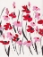 Picture of PINK AND RED FIELD I