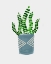 Picture of HOUSE POT 5