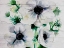 Picture of GHOST BLOOMS 6