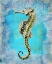 Picture of SEAHORSE PORTRAIT
