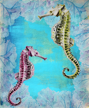 Picture of SEAHORSE COUPLE
