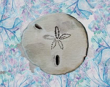 Picture of SAND DOLLAR