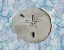 Picture of SAND DOLLAR