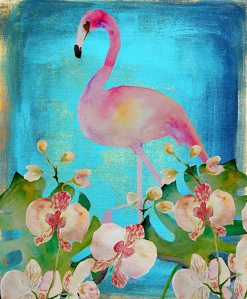 Picture of ORCHID FLAMINGO