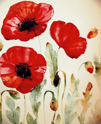 Picture of LIPSTICK POPPIES