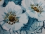 Picture of BLOSSOM BUNCH 11