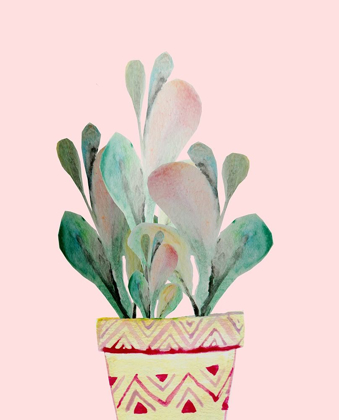Picture of SUCCULANT A2
