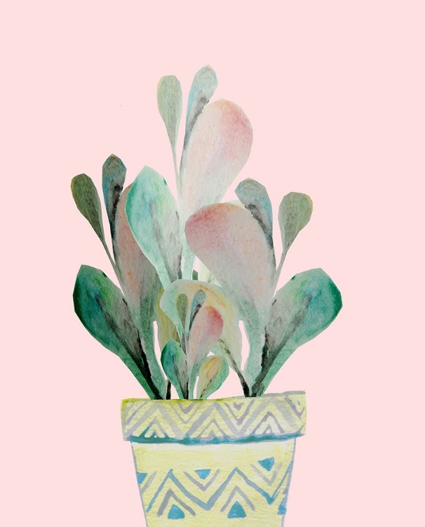 Picture of SUCCULENT IN TEAL A