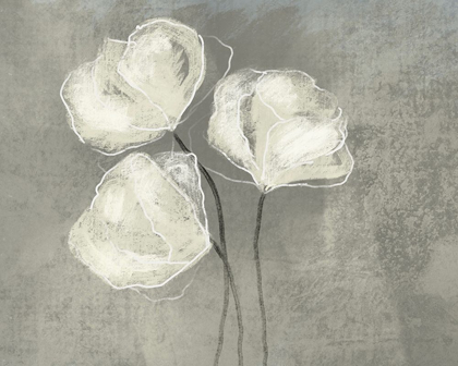 Picture of SKETCHED WHITE BLOOMS 2