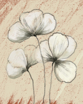 Picture of SKETCHED FLOWERS ON TAN