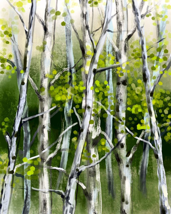 Picture of WILD BIRCH